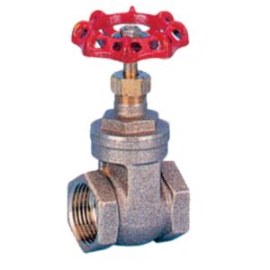 50mm (2") Gate Valve