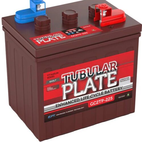 Golf Cart Batteries GC2TP-225