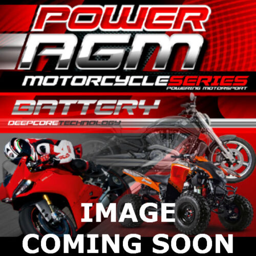 Motorcycle AGM Range Batteries NPC-YB16AL-A2