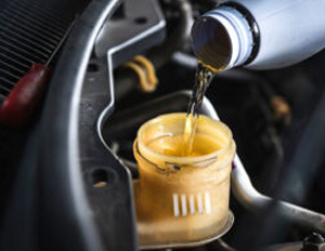 Coolants & Brake Fluids